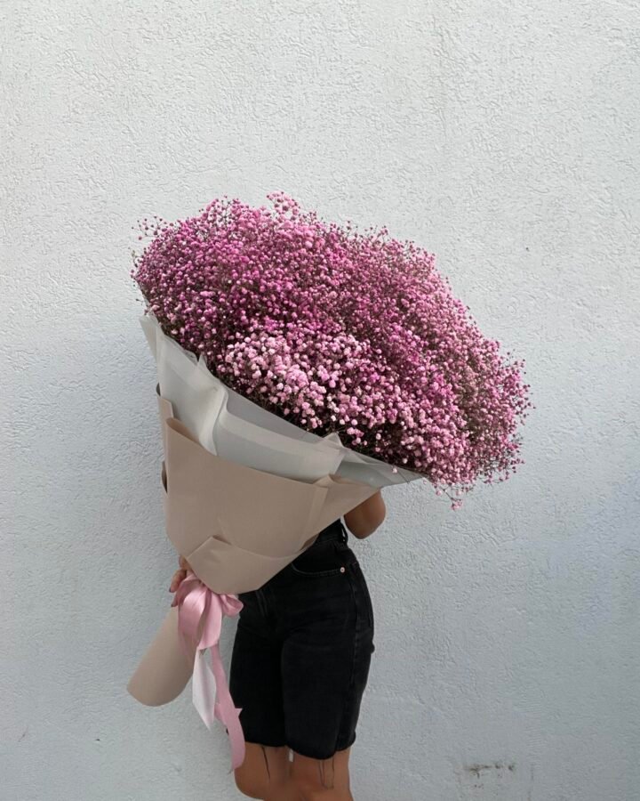זר גבסנית XXL