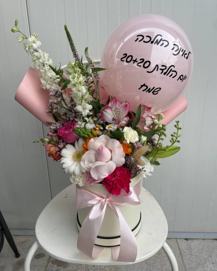 מארז אינה