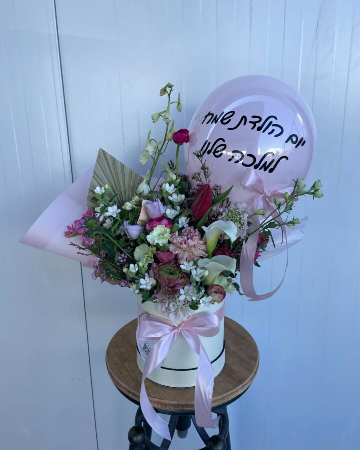 מארז ליידי