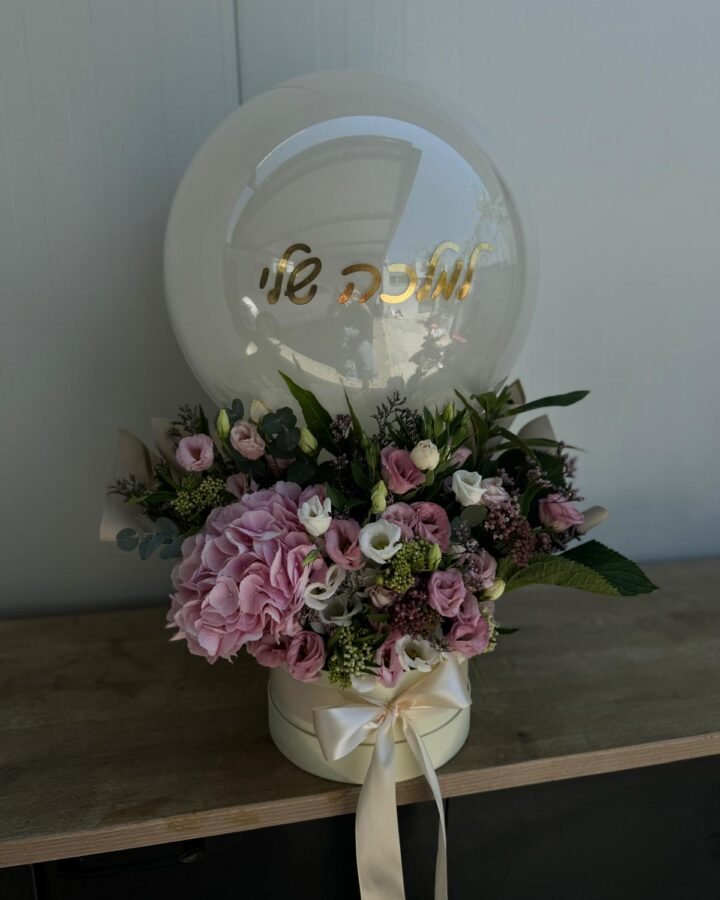 מארז קווין